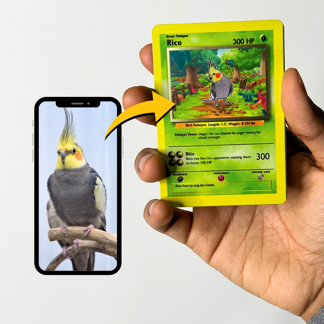 Pokepet Starter Pack