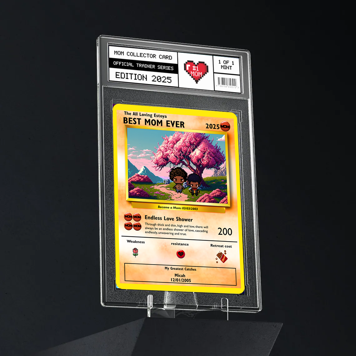 Construisez votre propre fête des mères