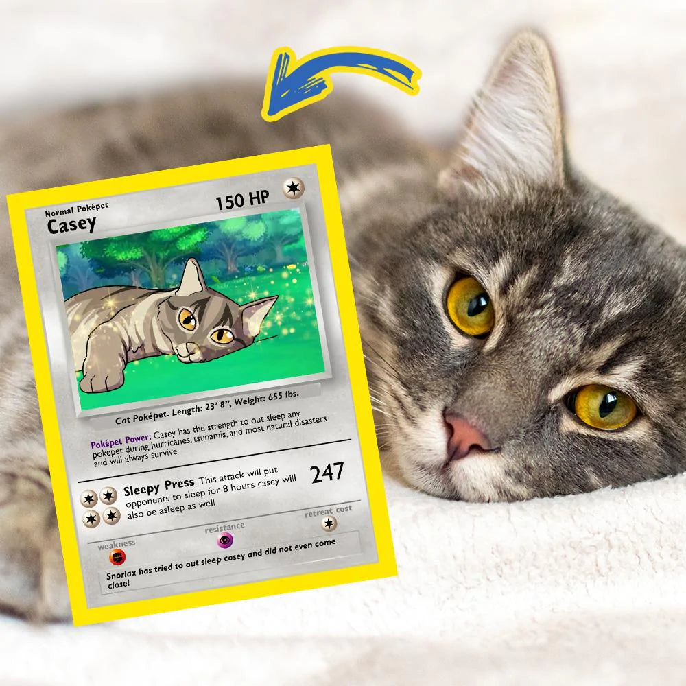 Produit numérique Pokepet