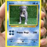 Pokepet Photo Card